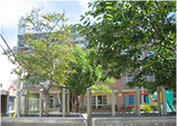 幼稚園・保育園　天隣乳児保育園（幼稚園・保育園）まで398m