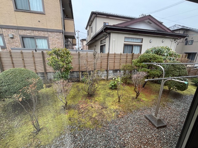 庭