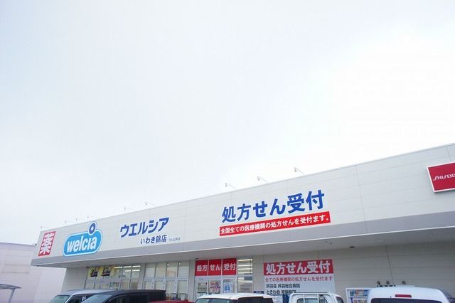 ドラックストア　ウエルシアいわき錦店（ドラッグストア）まで800m