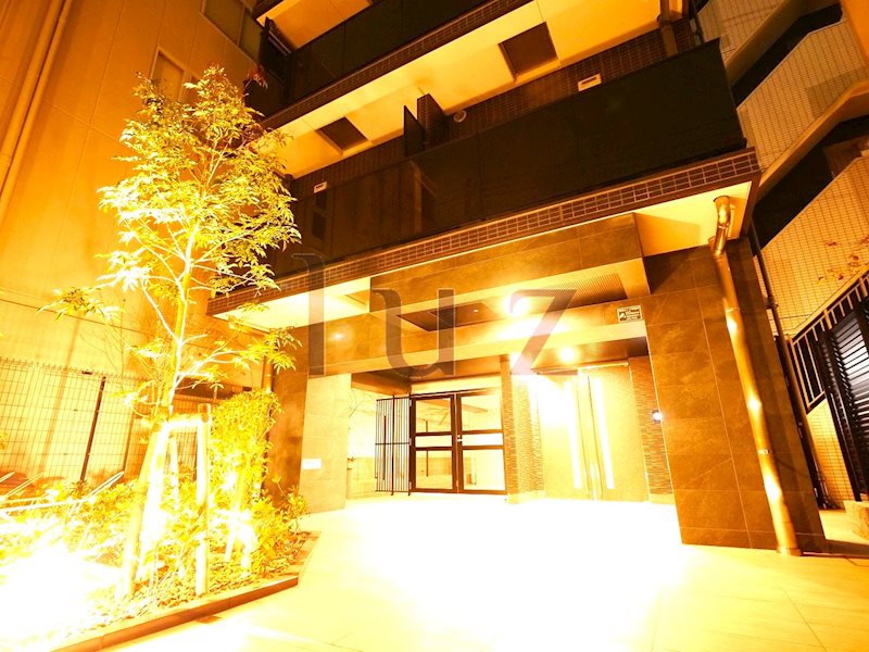 建物外観　2019年築の分譲マンションです。