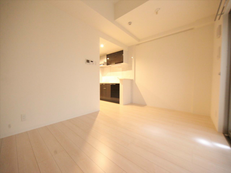 居室・リビング　ＬＤＫ11.1帖　システムキッチン　南面バルコニー