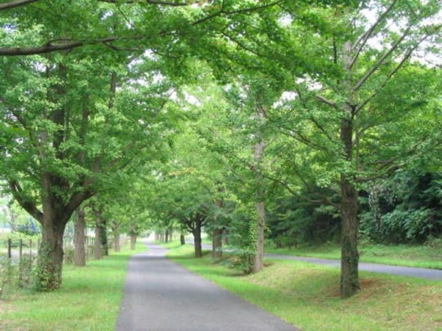 公園　立川公園（公園）まで1072m