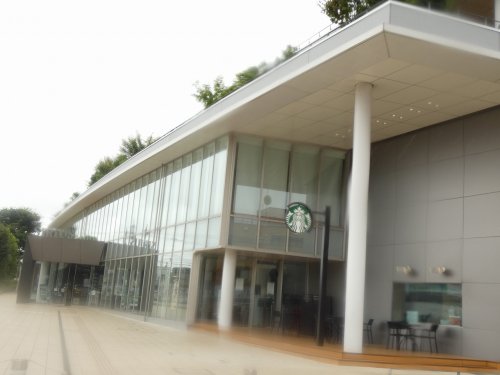 図書館　市立図書館（図書館）まで603m
