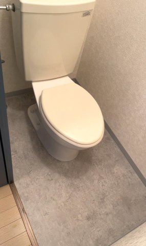 アミューズ渡田のトイレ写真