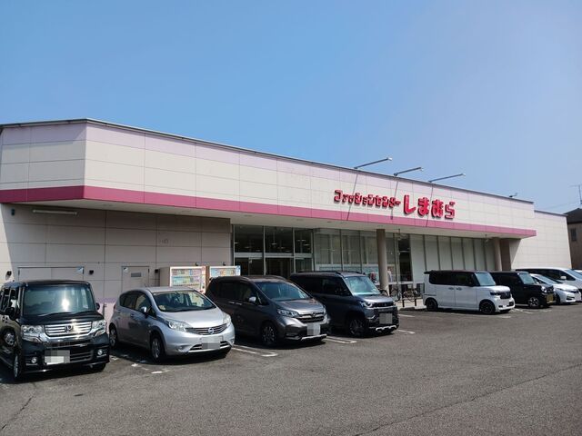 その他　ファッションセンターしまむら（その他）まで600m
