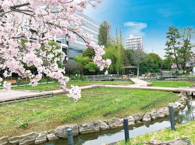 その他　仙台堀川公園（その他）まで771m