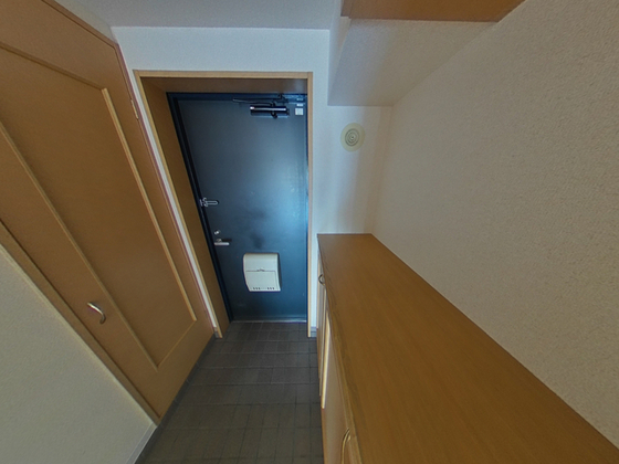 玄関　※別部屋の写真です