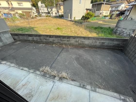 庭