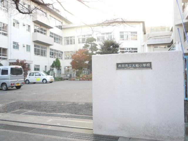 小学校　市川市立 大柏小学校（小学校）まで621m