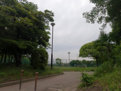公園　野田公園（公園）まで450m