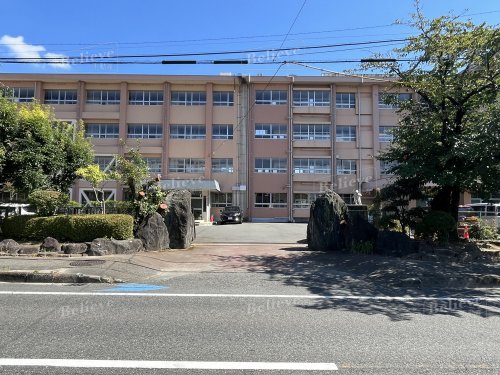 小学校　久留米市立南小学校（小学校）まで983m