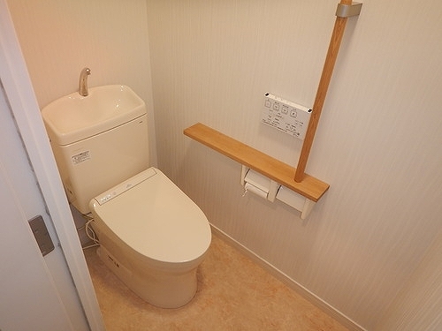 トイレ　トイレも気になるポイント