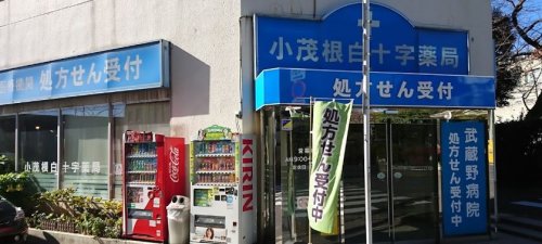 ドラックストア　小茂根白十字薬局（ドラッグストア）まで356m