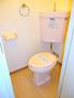 トイレ　キレイに清掃済みのトイレです♪