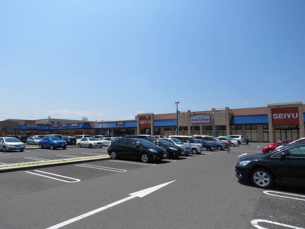 スーパー　西友 野洲店（スーパー）まで1297m