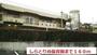 幼稚園・保育園　しらとり台保育園（幼稚園・保育園）まで160m