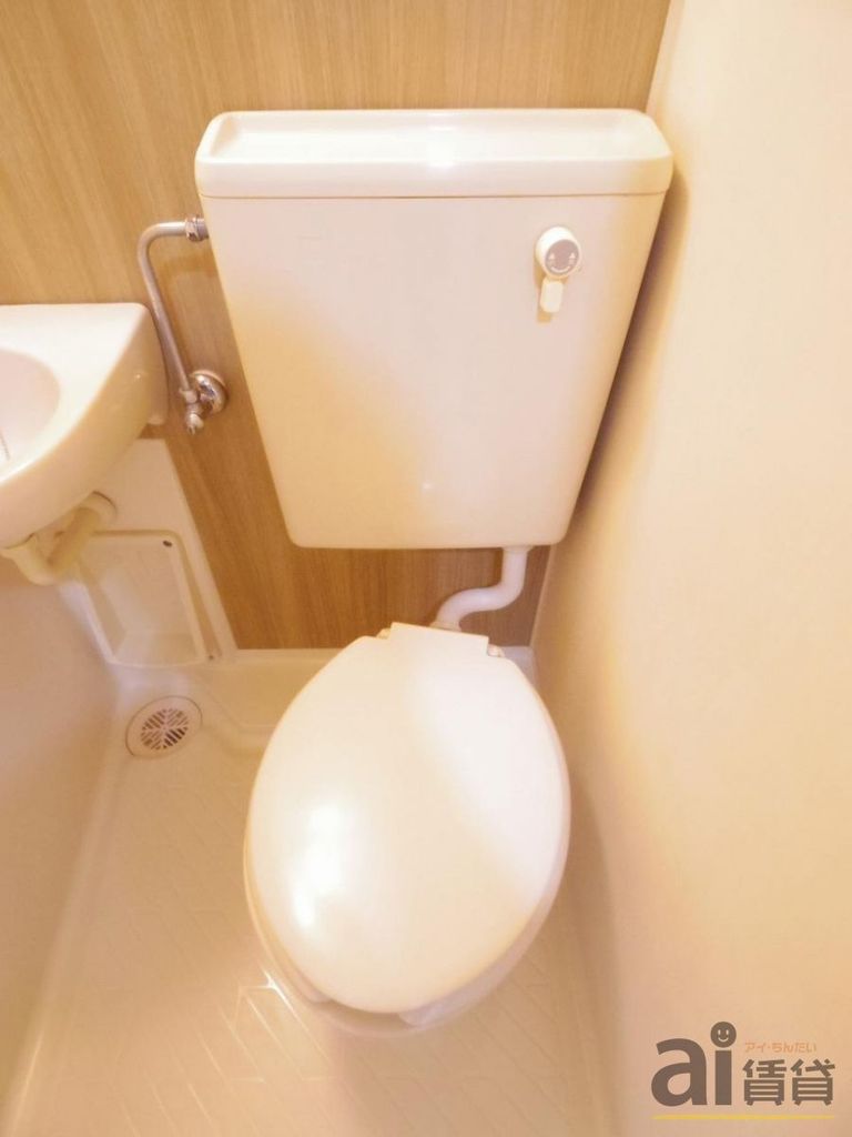 小田急線 祖師ケ谷大蔵駅 徒歩5分 4階建 築36年のトイレ写真
