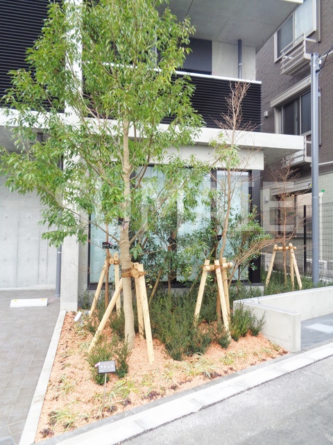 その他　植栽です！