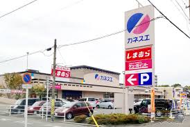 スーパー　カネスエ新生店（スーパー）まで452m