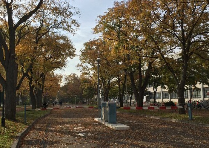 大学・短大　北海道大学　北13条門（大学・短大）まで120m