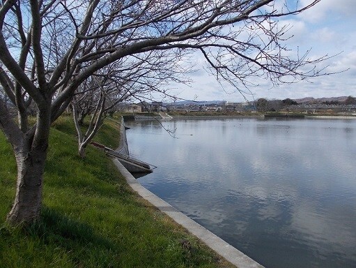 公園　服部大池公園（公園）まで1319m