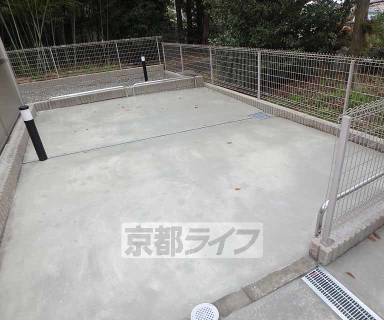 庭