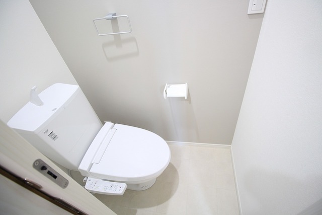 ミルズグランディール亀田 Aのトイレ写真