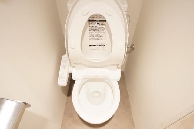 トイレ　落ち着いた色調のトイレです