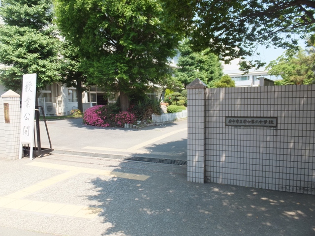 【府中市寿町のマンションの中学校】