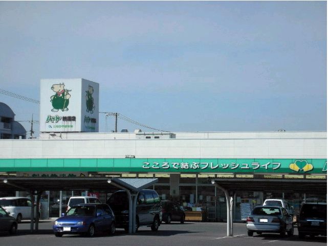 スーパー　ハート　新涯店（スーパー）まで870m