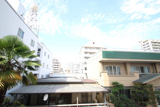 眺望　※別部屋の写真です