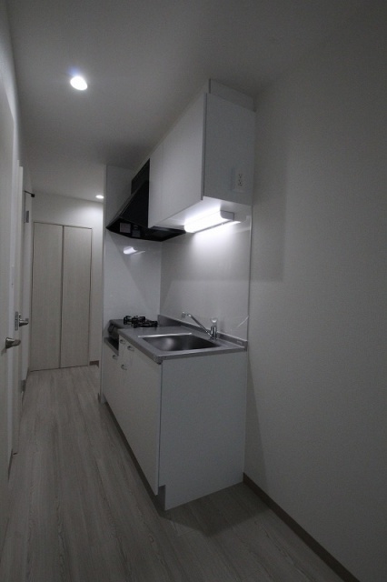 キッチン　同物件、別号室のものです。