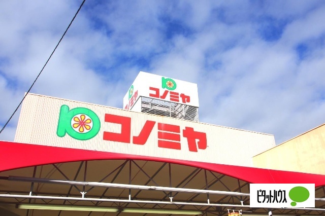 スーパー　コノミヤ天白店（スーパー）まで1133m