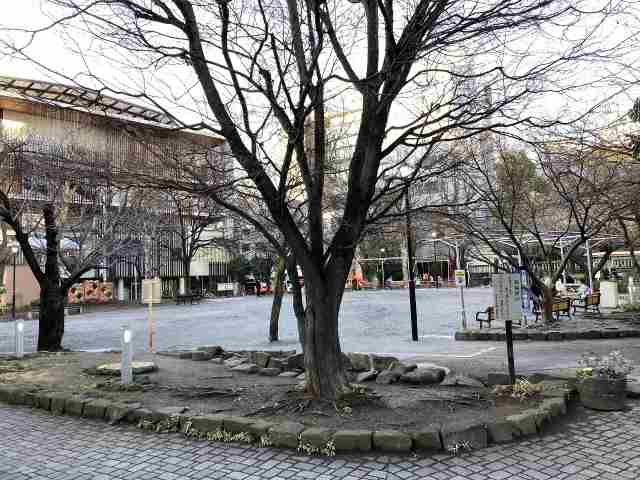 公園　中央区立鉄砲洲児童公園（公園）まで126m