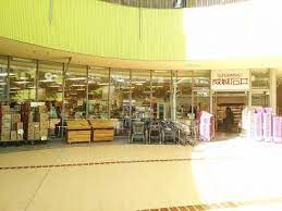 スーパー　成城石井東京ドームラクーア店（スーパー）まで501m