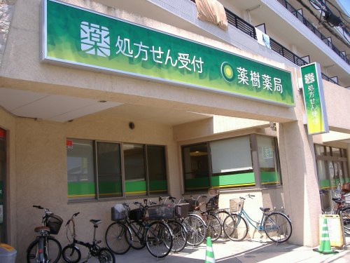 ドラックストア　薬樹薬局 元住吉（ドラッグストア）まで556m