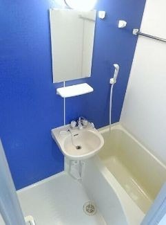 バス・シャワールーム　※同仕様写真含む