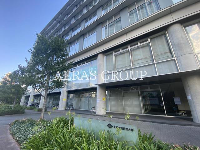 大学・短大　東京有明医療大学（大学・短大）まで1175m