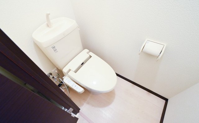 トイレ　同物件別号室のものです。