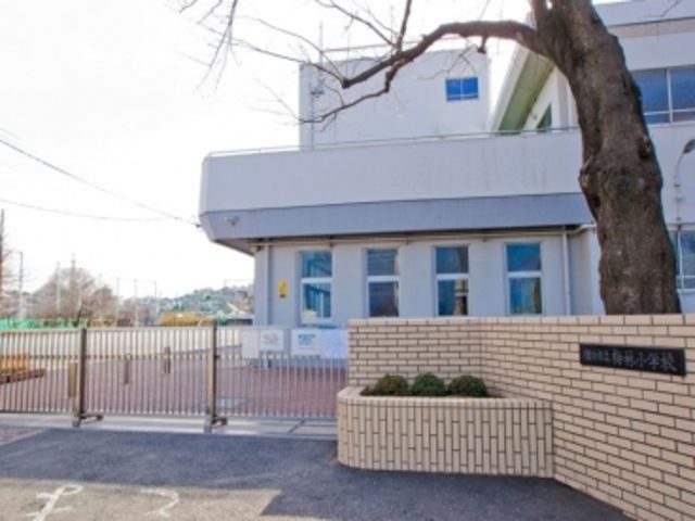 小学校　横浜市立梅林小学校（小学校）まで802m