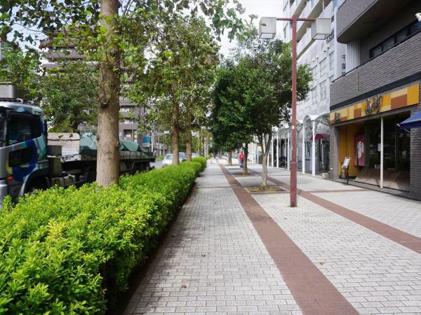 その他　現地周辺街並み（その他）まで5m