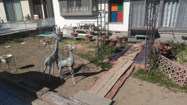 庭