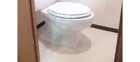 トイレ　※別部屋の参考写真です。