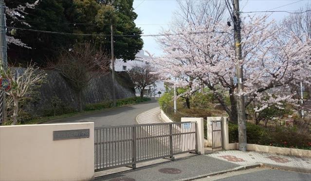 小学校　横浜市立西が岡小学校（小学校）まで1043m