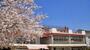 幼稚園・保育園　守山幼稚園（幼稚園・保育園）まで900m
