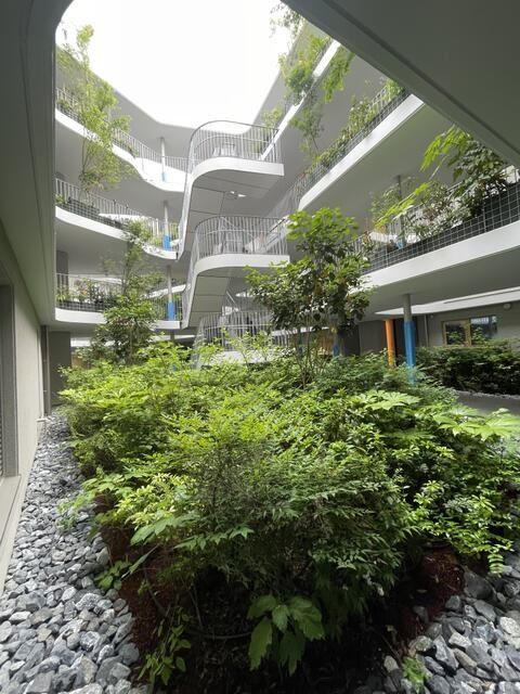 庭
