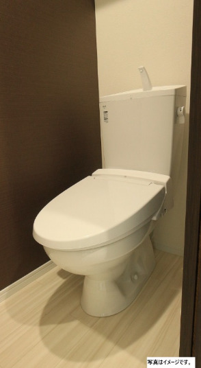 ＪＲ常磐線 柏駅 徒歩11分 3階建 新築のトイレ写真