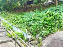 公園　日暮里台緑地（公園）まで432m