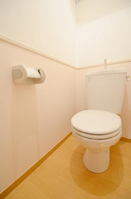 フェアリーウィステリア壱番館のトイレ写真