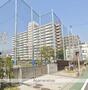 小学校　台場小学校（小学校）まで1208m